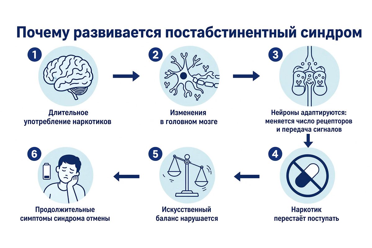 Инфографика о развитии постабстинентного синдрома